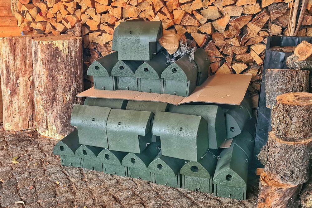 Neubau von 100 Baumhotels ist vorbereitet